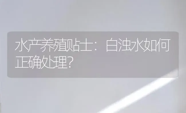 水产养殖贴士：白浊水如何正确处理？ | 动物养殖百科