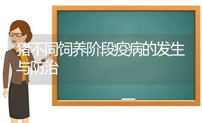 猪不同饲养阶段疫病的发生与防治 | 家畜养殖