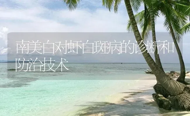 南美白对虾白斑病的诊断和防治技术 | 海水养殖