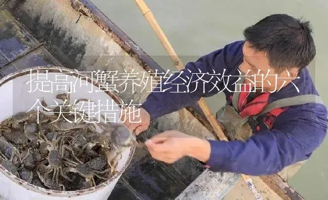 提高河蟹养殖经济效益的六个关键措施 | 淡水养殖