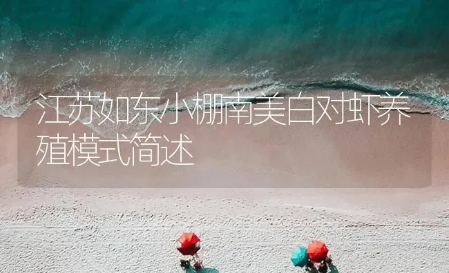 江苏如东小棚南美白对虾养殖模式简述 | 海水养殖