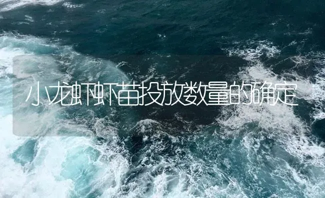 小龙虾虾苗投放数量的确定 | 海水养殖