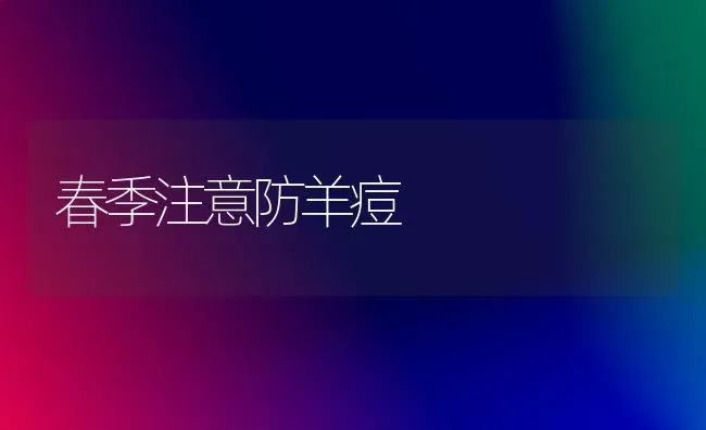 春季注意防羊痘 | 家畜养殖