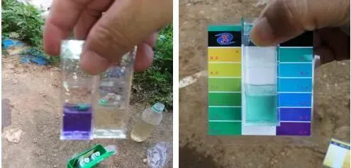 “绿藻”组合处理粪肥引起池塘黑水的案例分享