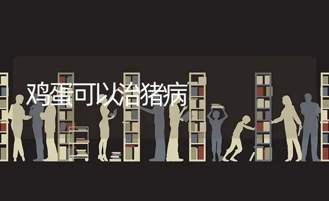 鸡蛋可以治猪病 | 家畜养殖