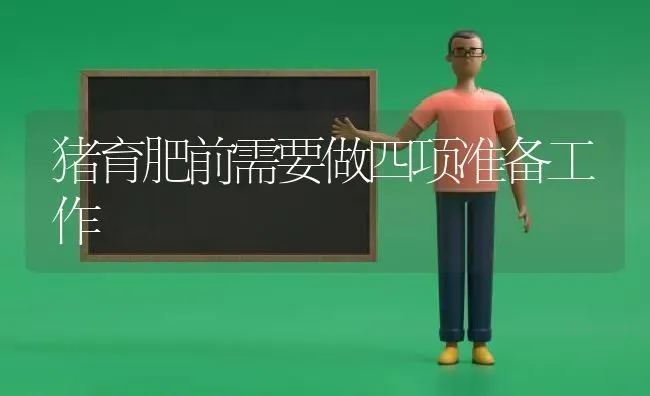 猪育肥前需要做四项准备工作 | 家畜养殖