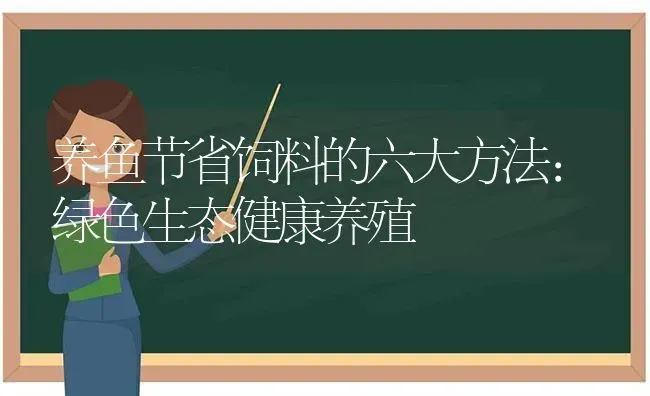 养鱼节省饲料的六大方法：绿色生态健康养殖 | 动物养殖百科