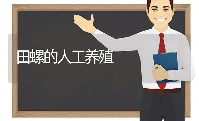 田螺的人工养殖 | 动物养殖百科