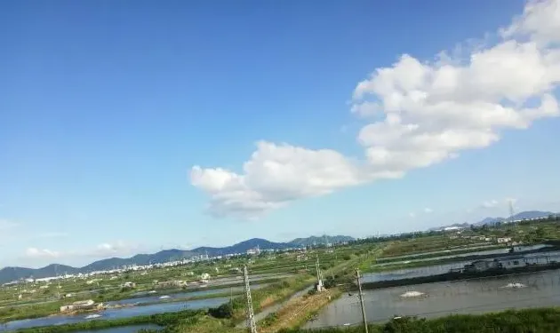 气温剧烈变化南美白对虾养殖如何应对白便