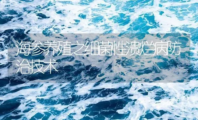 海参养殖之细菌性溃烂病防治技术 | 海水养殖