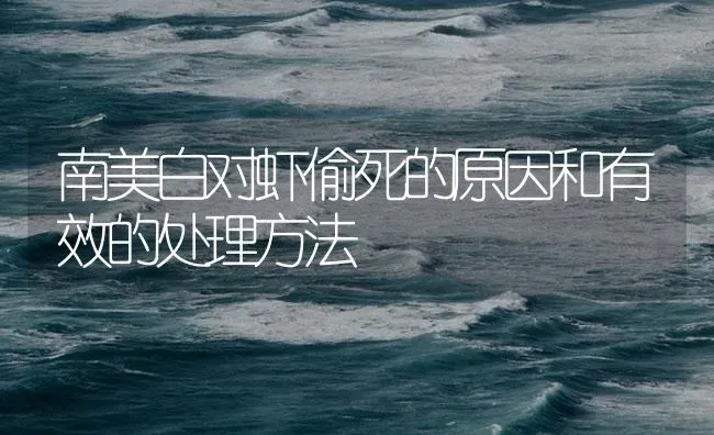 南美白对虾偷死的原因和有效的处理方法 | 海水养殖