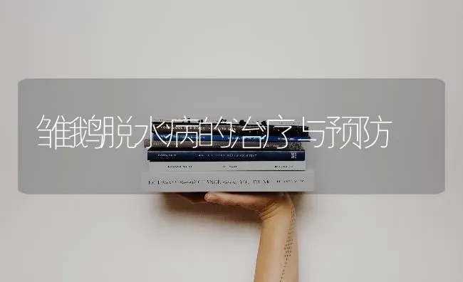 雏鹅脱水病的治疗与预防 | 家禽养殖