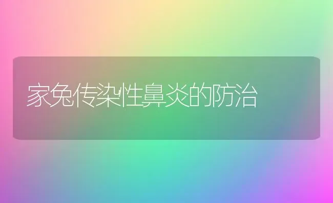 家兔传染性鼻炎的防治 | 家畜养殖