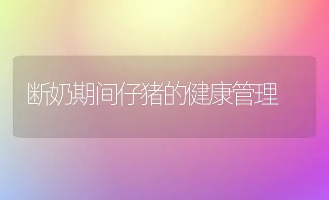 断奶期间仔猪的健康管理 | 家畜养殖