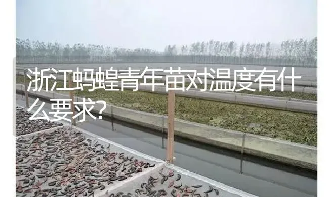 浙江蚂蝗青年苗对温度有什么要求？ | 特种养殖
