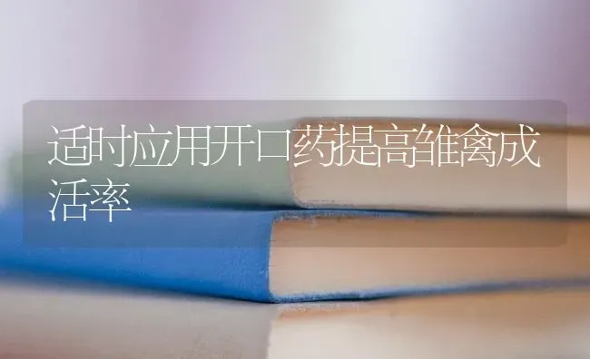 适时应用开口药提高雏禽成活率 | 养殖病虫害防治