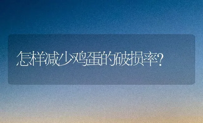 怎样减少鸡蛋的破损率？ | 家禽养殖