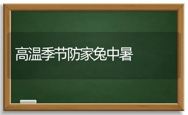 高温季节防家兔中暑 | 家畜养殖