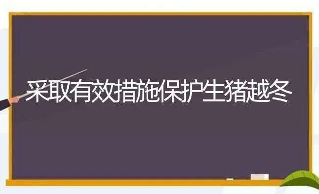 采取有效措施保护生猪越冬 | 家畜养殖