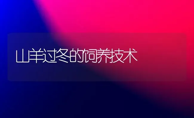 山羊过冬的饲养技术 | 家畜养殖