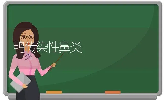 鸭传染性鼻炎 | 家禽养殖