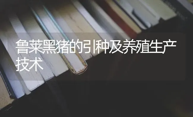 鲁莱黑猪的引种及养殖生产技术 | 家畜养殖