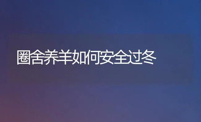 圈舍养羊如何安全过冬 | 家畜养殖