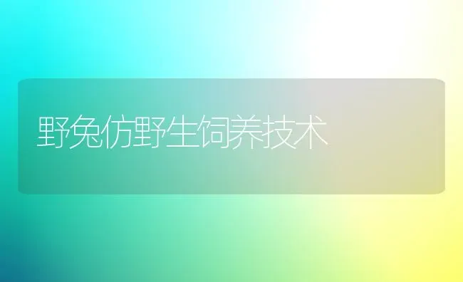 野兔仿野生饲养技术 | 家畜养殖