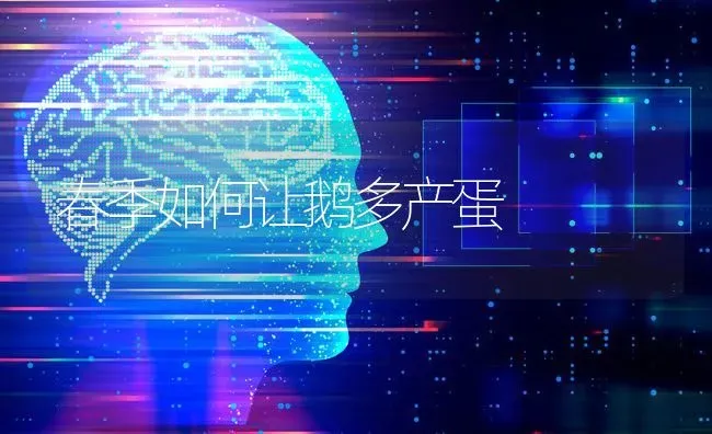 春季如何让鹅多产蛋 | 家禽养殖