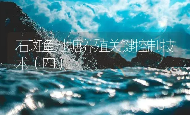 石斑鱼池塘养殖关键控制技术（四） | 海水养殖