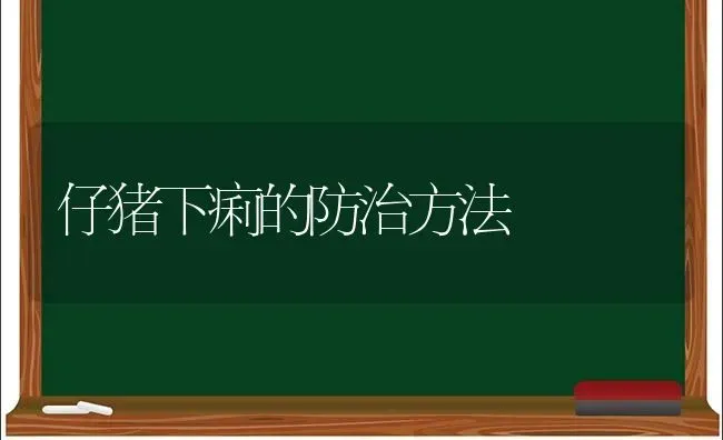 仔猪下痢的防治方法 | 家畜养殖