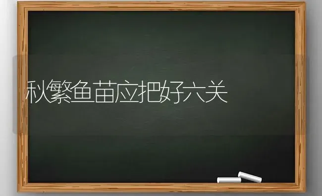 秋繁鱼苗应把好六关 | 淡水养殖