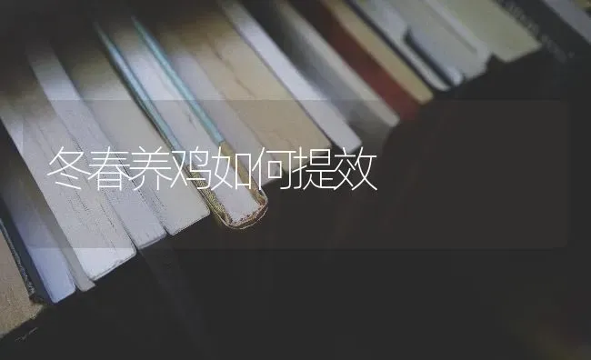 冬春养鸡如何提效 | 家禽养殖