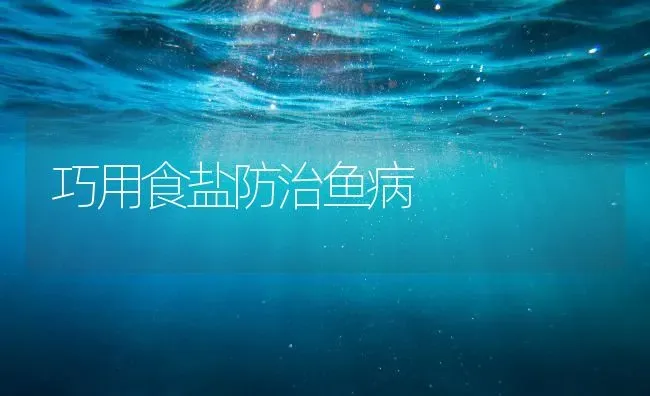 巧用食盐防治鱼病 | 淡水养殖