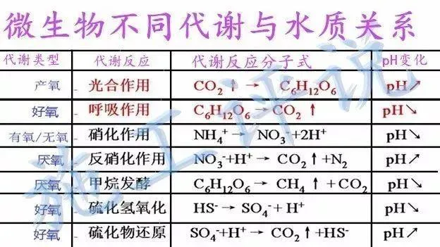 微生物是把双刃剑，养殖户要合理使用才能发挥最大效果