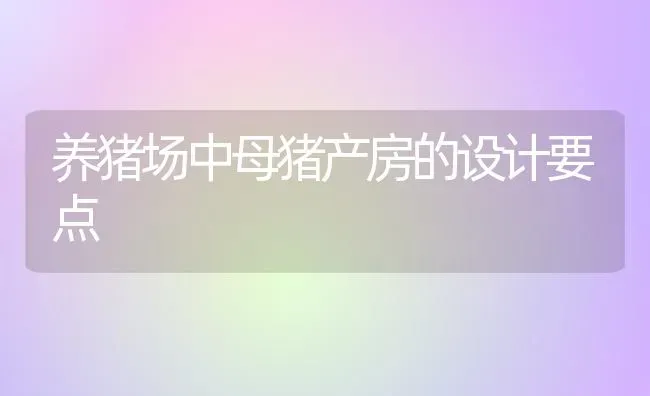 养猪场中母猪产房的设计要点 | 家畜养殖