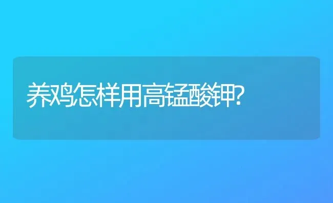 养鸡怎样用高锰酸钾? | 家禽养殖