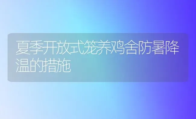 夏季开放式笼养鸡舍防暑降温的措施 | 家禽养殖