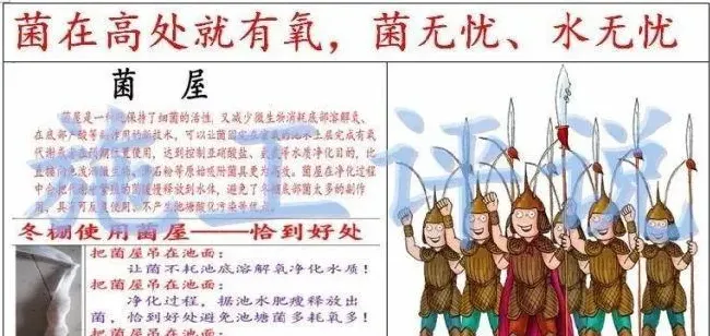 微生物是把双刃剑，养殖户要合理使用才能发挥最大效果