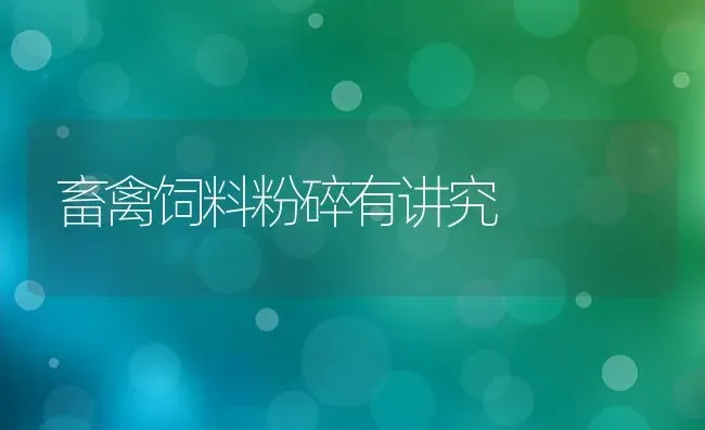 畜禽饲料粉碎有讲究 | 动物养殖饲料