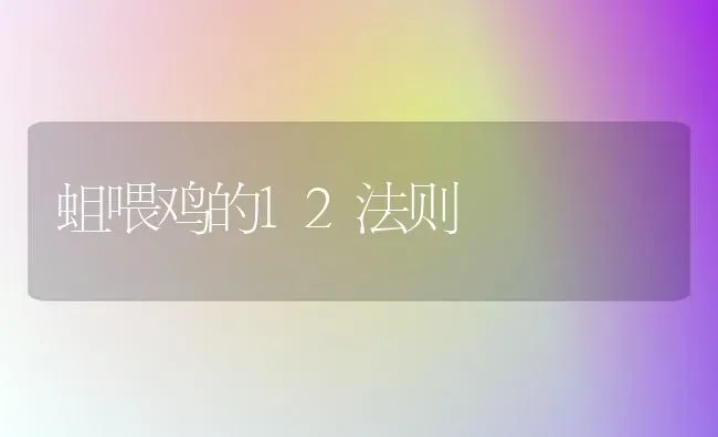 蛆喂鸡的12法则 | 家禽养殖