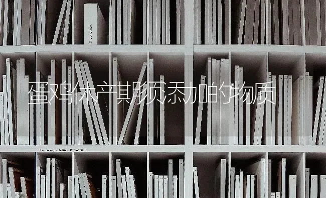 蛋鸡休产期须添加的物质 | 家禽养殖