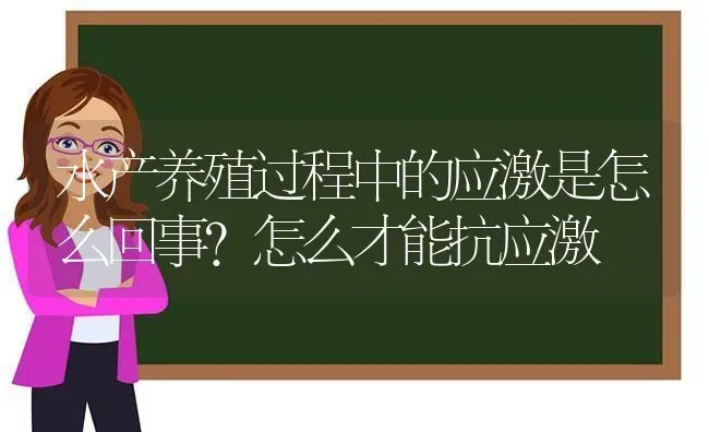 水产养殖过程中的应激是怎么回事？怎么才能抗应激 | 动物养殖百科