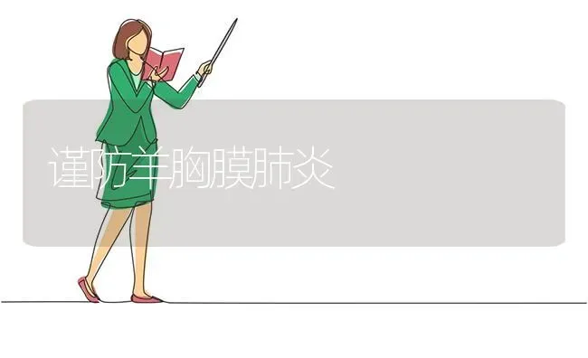 谨防羊胸膜肺炎 | 家畜养殖