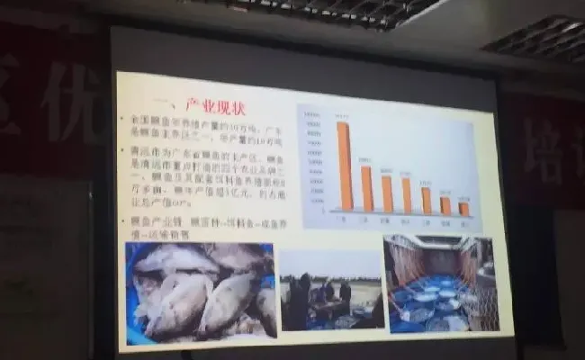 桂花鱼养殖技术培训班心得体会分享