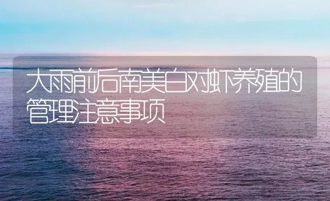 大雨前后南美白对虾养殖的管理注意事项 | 海水养殖