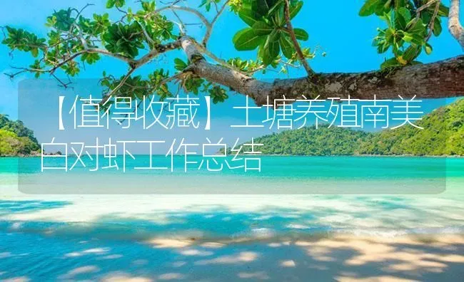 【值得收藏】土塘养殖南美白对虾工作总结 | 海水养殖