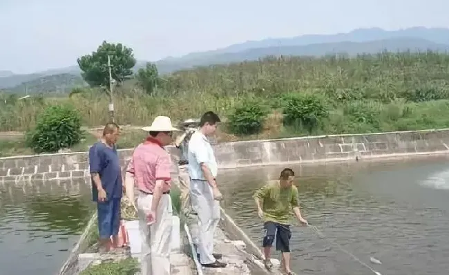 水产动物疾病的流行特点和防控方法