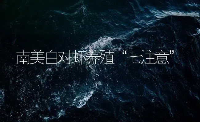 南美白对虾养殖“七注意” | 海水养殖
