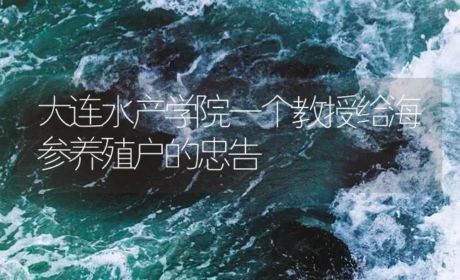 大连水产学院一个教授给海参养殖户的忠告 | 海水养殖